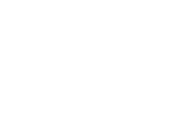 Logo Vantis